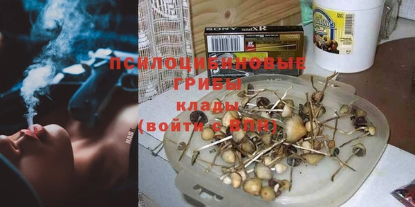 Альфа ПВП Гусиноозёрск