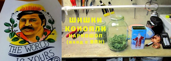 Альфа ПВП Гусиноозёрск