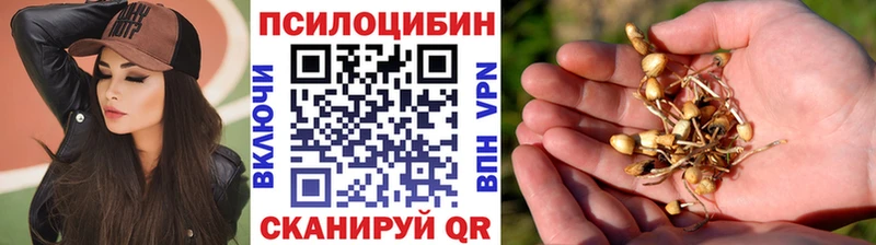 Галлюциногенные грибы прущие грибы  Купить  Верещагино 
